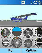 Leo's Flight Simulator for Smartphone 2