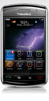 Blackberry Storm
